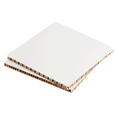 Cartone bianco a nido di miele con cartone bianco rigido