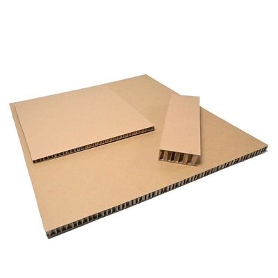 Contemporanea Sostenibile Honeycomb Cartone Cartone bianco Soluzione
